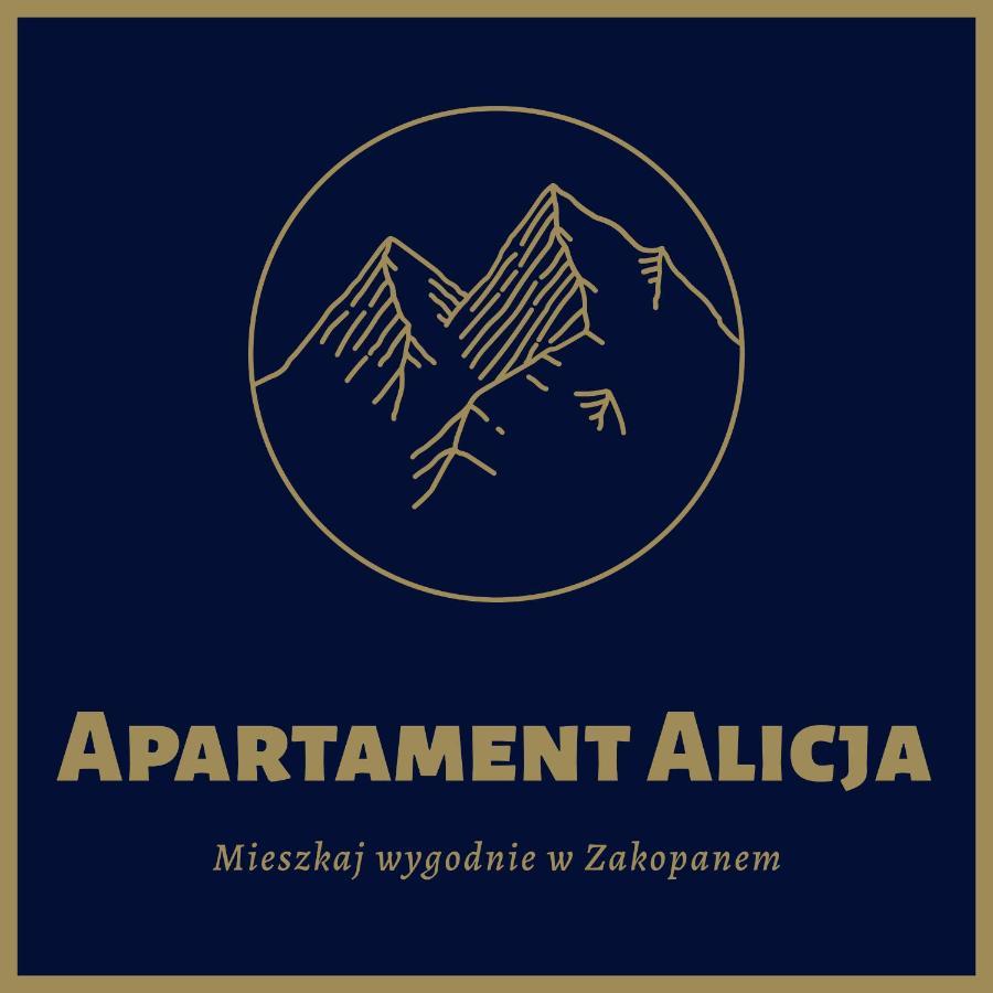 Apartament Alicja, Scisle Centrum, Orkana 3 Zakopane Exteriér fotografie